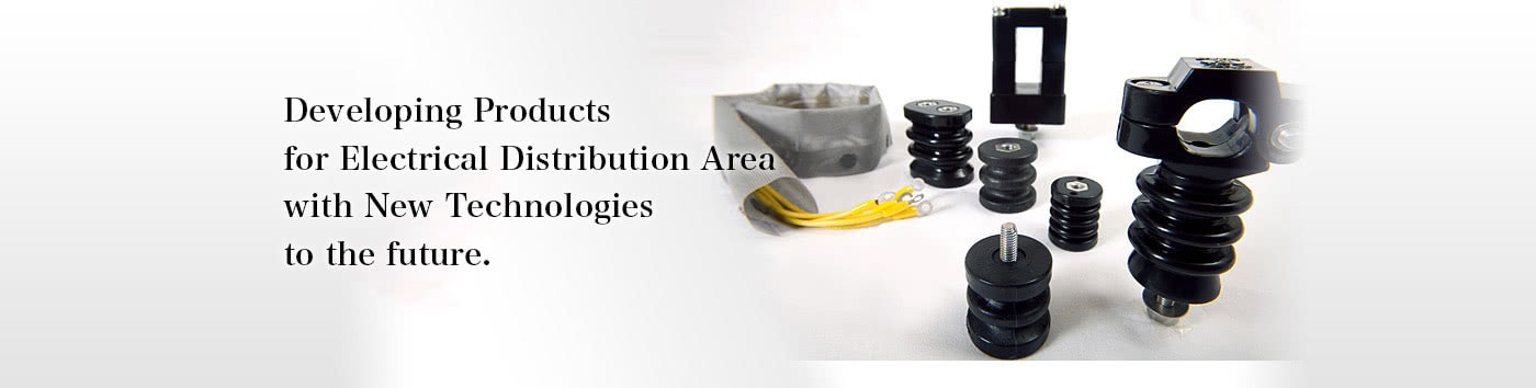 Developing Products for Electrical Distribution Area with New Technologies to the future. 
