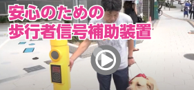 安全のための歩行者用信号